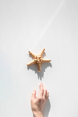 Wall Mural - Female hand reaching for a starfish on a white background. Top view, flat lay.