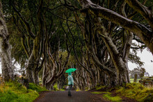 Woman Looks At Unique Trees In Ireland