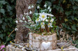 Christrose und Schneeglöckchen im Birkenrinden-Topf als Frühlings-Gartendekoration