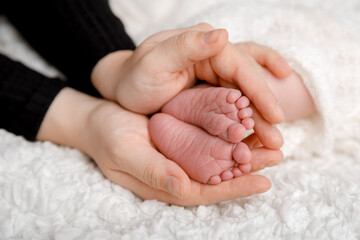 Wall Mural - close-up of baby feet in mother's hands