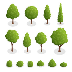 isometric set of park plants. 3d green trees and bushes of various shapes isolated on white backgrou
