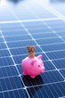 Energy saving concept with solar panels and a piggy bank with fifty euro