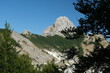 Tuscany mountains. Mountain landscape in Tuscany. Monte Pizzo d'Uccello in the Apuan Alps and  forest. Carrara, Tuscany, Italy