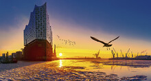 Astonishing Elbe Philharmonic Hall In Winter At Sunrise With A Flying Seagull