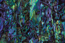 Pearl Multi-colored Surface With Purple Green Tint