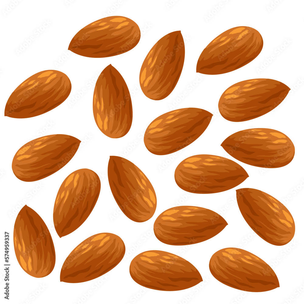 アーモンドのイラスト素材 ベクター Stock Vector | Adobe Stock, image size:1000x1000