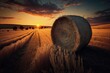 a bale of hay sitting in the middle of a field, generative AI