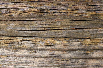 Wall Mural - a weathered wooden board with horizontal cracks