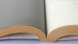 Open book indentation with bokeh effect.