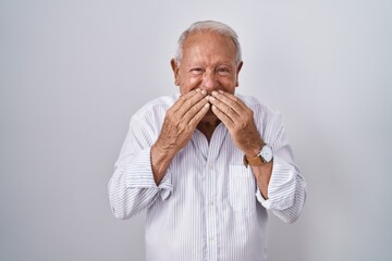 Canvas Print - Senior man with grey hair standing over isolated background laughing and embarrassed giggle covering mouth with hands, gossip and scandal concept