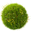 Grass circle, 3d render. Grass sphere with dandelions, isolated. Transparent background, PNG file