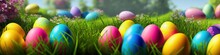 Fresh Spring Background With Easter Eggs Banner Green Juicy Meadow. Colored Easter Eggs Hidden Flowers Grass.