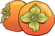 Ripe persimmon, two fruits with a flower and a cutting - vector full color picture with plant food. Bright Fruit of the persimmon tree is a healthy wholesome food.