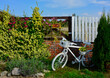 wintage, drkoracja kwietnik na starym, białym rowerze, rośłiny ogrodowe i biały rower, recykling ogrodowy, kwietnik w starym rowerze
