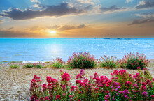 Scenic View Of The Easten Coast Of England, Southend On The Sea Beach With Beautiful Red Flowers At Sunrise, In England, UK