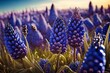 grape hyacinths blooming in a sunny meadow are quite stunning. Generative AI