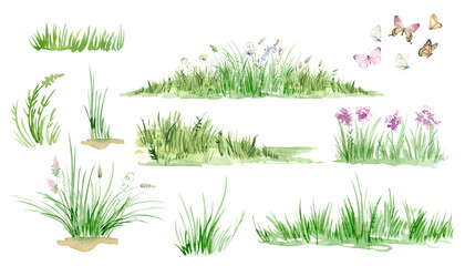 Watercolor background of green grass, spring meadow, wild flowers, seamless border of green grass, leaves, wildflowers. Landscape spring green. PNG files