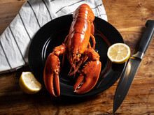 Slowfood - Lobster