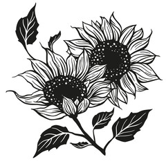 Wall Mural - Sunflower drawing vector decoration with leaves. Line contour design flower silhouette graphic
