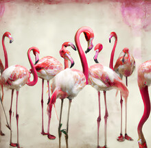 Illustration Of A Flock Of Flamingos In Different Postures