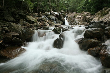 Sticker - the stream of a valley