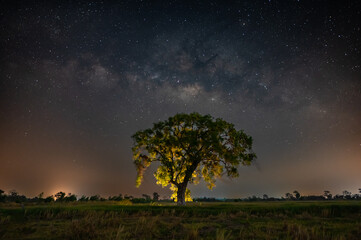 Wall Mural - beautiful milky way galaxy with stars and space dust in the universe