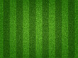 Lush baseball. Football pattern. Soccer field. Sport nature backdrop. Natural turf. Synthetic game lawn. Stadium astroturf. Grassland texture. Golf playground. Vector striped background