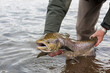 © Cavan Images - Man holding an atlantic salmon