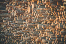 Cut Ends Of Logs That Are Piled High For Storage.