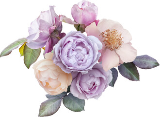 bouquet of soft lilac and white roses isolated on a transparent background. png file. floral arrange
