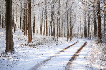 Canvas Print - the traces of a car on the snow