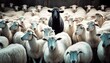 A Flock of White Sheep with a Black Sheep in the Barn - Unique and Stand Out from the Crowd. Generative ai illustration
