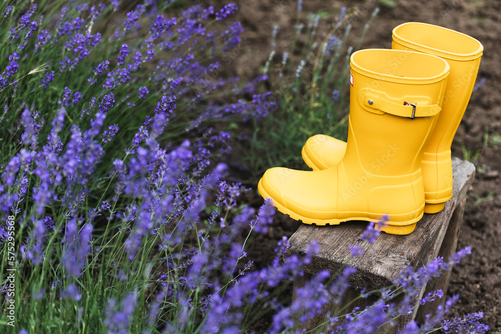 lavender and yellow rubber boots