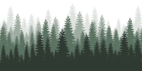 Horizontal forest landscape. Layered trees background. Evergreen coniferous trees.