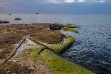 Wall Mural - Beauty sea rocky coast with green moss on the stones. Blue hour time.