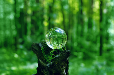 Wall Mural - crystal ball on tree stump close up, abstract blurred natural background. clear crystal ball for meditation, relax, esoteric Witchcraft practice. spiritual ritual for summoning spirits, divination