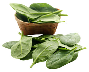 Wall Mural - Fresh Spinach