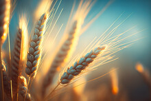 Ripe Golden Spikelets Of Wheat Against Blue Sky Background Close Up Image. Generative Ai Illustration