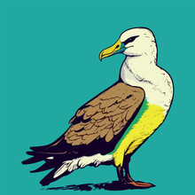 Colorful Albatross Pop Art Style Vector Illustration