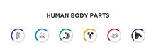 Human Body Parts Filled Icons With Infographic Template. Glyph Icons Such As Human Spine, Human Breast, Stoh With Liquids, Excretory System, Hand Showing Palm, Men Shoulder Vector.