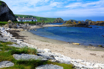 Wall Mural - Rocky coastline of the Causeway Coast at Ballintoy village, Northern Ireland