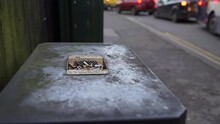 Cigarette Butts In Ashtray On The Public Trash Can In England, London