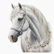 White horse with a wreath of flowers portrait watercolor digital art illustration