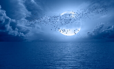 Aufkleber - Night sky with blue moon in the clouds over the calm blue sea, many sytars in the background  