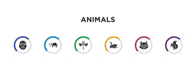 Sticker - animals filled icons with infographic template. glyph icons such as deadlock, sloth, dragonflay, swan, racoon, squirrel vector.