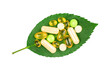 Variety of dietary supplement pills on fresh green leaf isolated on transparent background, top view. Alternative medicine concept