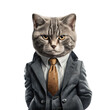 Portrait of a cat dressed in a formal business suit on white background, transparent png, generative ai