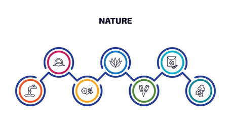Poster - nature infographic element with outline icons and 7 step or option. nature icons such as japanese, agave, flower seeds, wate, flower of leaves, two roses, scarlet oak tree vector.