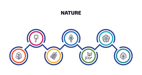 Poster - nature infographic element with outline icons and 7 step or option. nature icons such as clovers, tr