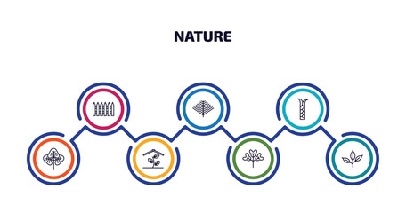 Poster - nature infographic element with outline icons and 7 step or option. nature icons such as fences, pine needle, escuamiforme, reniform, indoor, obcordate, cherry leaf vector.